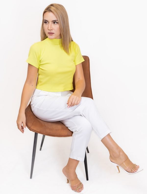 Alex High Neck Rib Top - Image 4